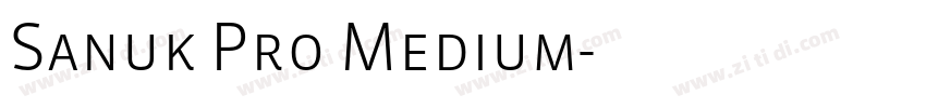 Sanuk Pro Medium字体转换 Sanuk Pro Medium字体转换